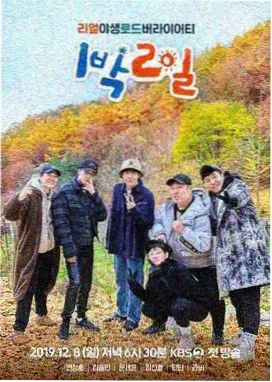 种番茄的哥哥综艺海报